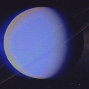 Meet your Posher, Derick